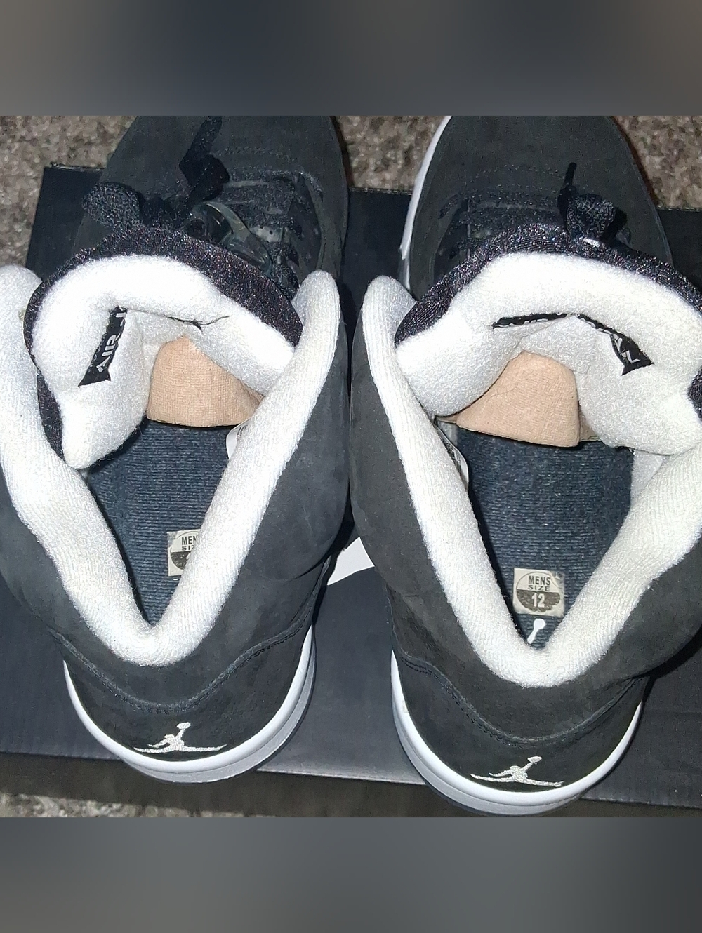 Jordan 5 Moonlight - Picture 6 of 8